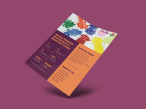 alok flyer 2 Creative Design Agency & Media Production Studio In Delhi