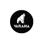 varaha logo Creative Design Studio & Media Production Studio in Delhi